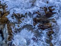 Nadelspitzen aus Eis bilden sich an Erhebung im Bachbett